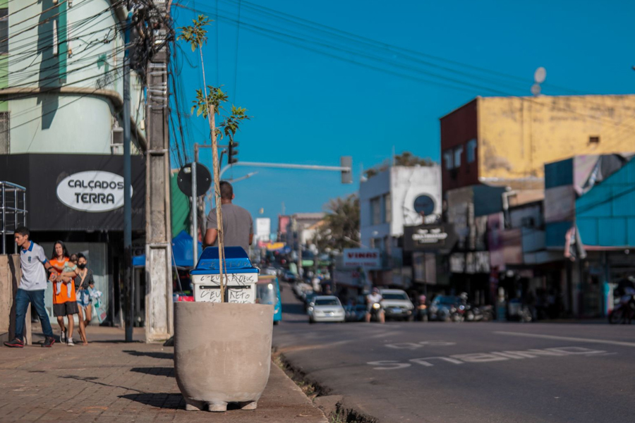 Novos vasos com plantas são instalados ao longo da avenida Sete de Setembro - News Rondônia