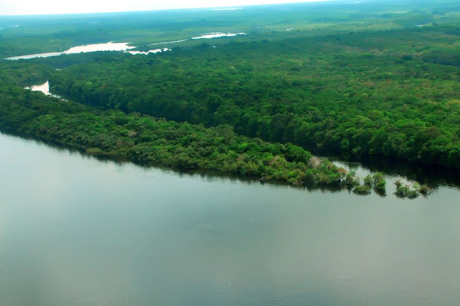 EUA estão empenhados em arrecadar recursos "vultosos" para Amazônia - News Rondônia
