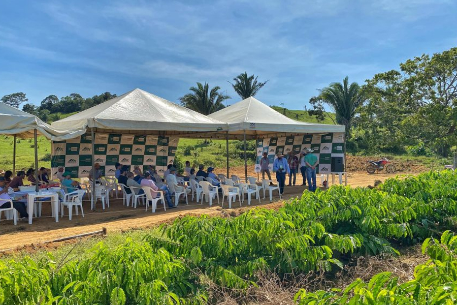 Produtores rurais recebem capacitação no Dia de Campo sobre a Produção Sustentável de Café em Monte Negro - News Rondônia
