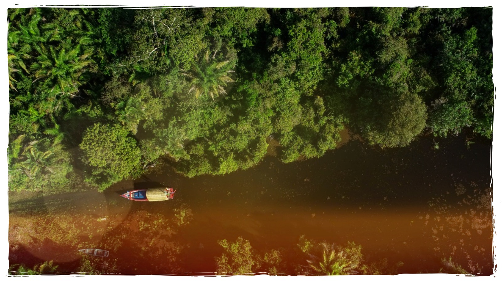 Coluna Leitura Finalizada - Dia Mundial da Fotografia: conheça o fotolivro 'O Divino Guaporé' - Por Renata Camurça - News Rondônia