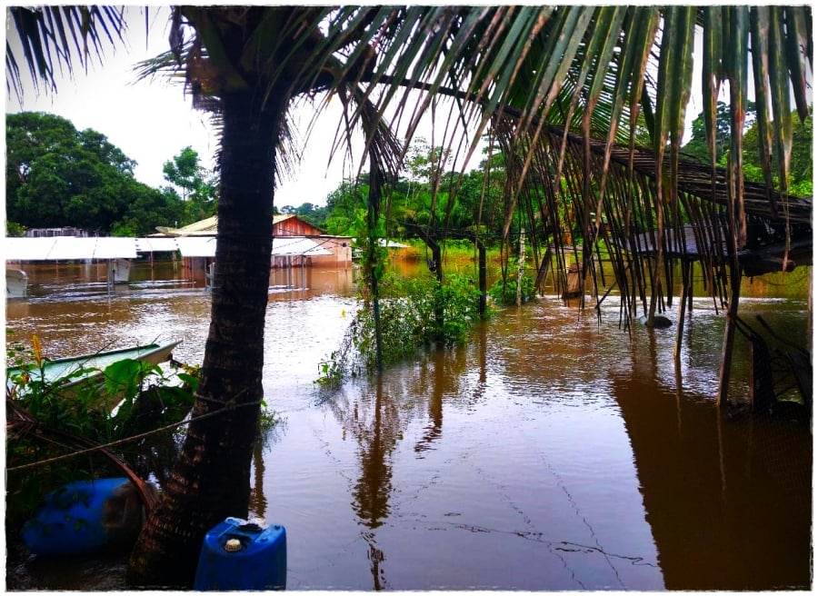 Com vazão do Rio Jacy, Aldeia Karipuna deixa o cenário de alagação - News Rondônia