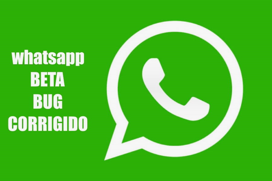 WhatsApp beta lança atualização corrigindo bug - News Rondônia