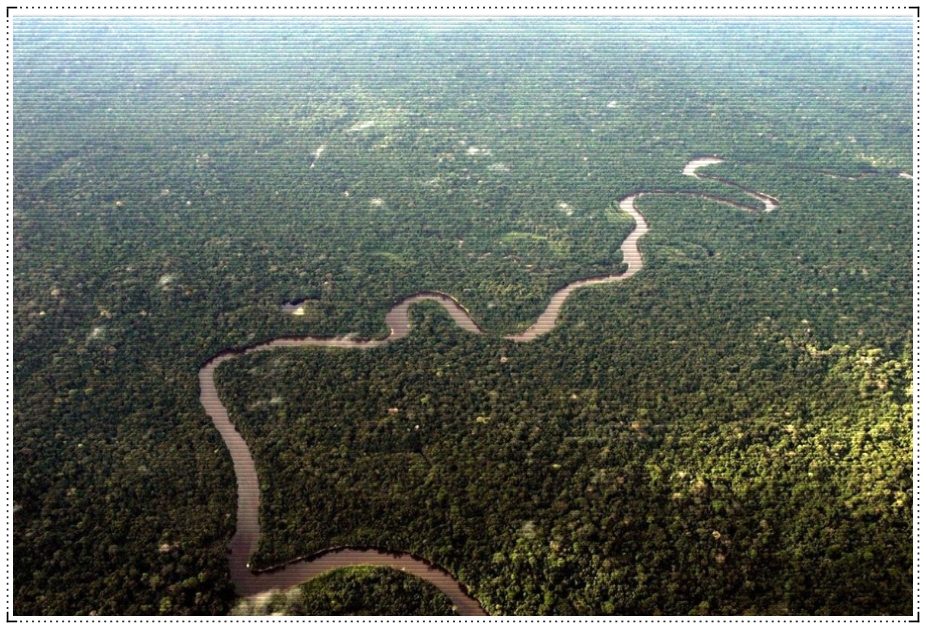 Amazônia Legal: desmatamento no primeiro semestre de 2022 já supera o registro detectado há seis anos - News Rondônia