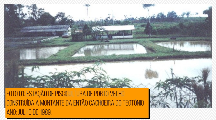 A piscicultura de Rondônia: surgimento... crescimento... decadência - por Antônio Almeida - News Rondônia