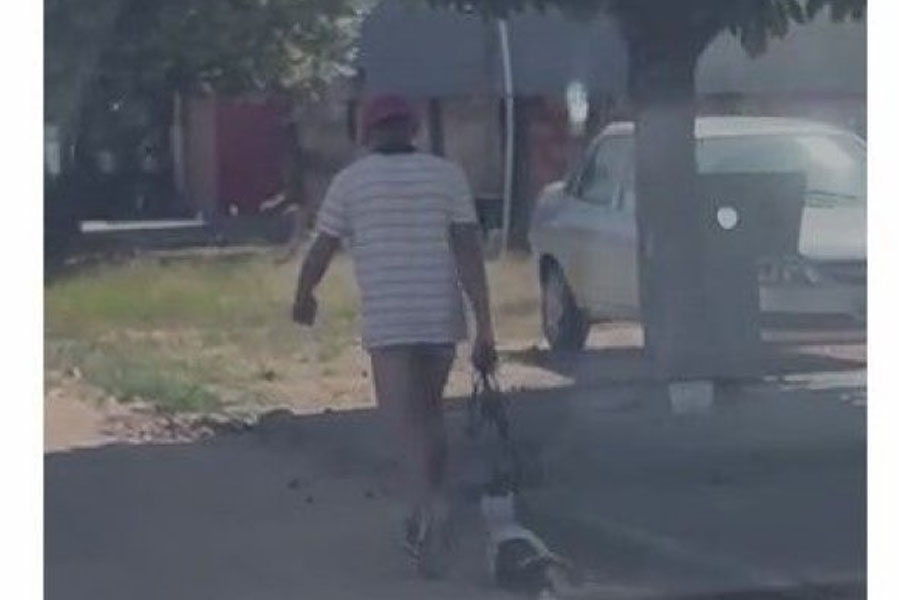 Homem é flagrado arrastando cão bastante ferido pela coleira e revolta os moradores do bairro Primavera, em Ji-Paraná - News Rondônia