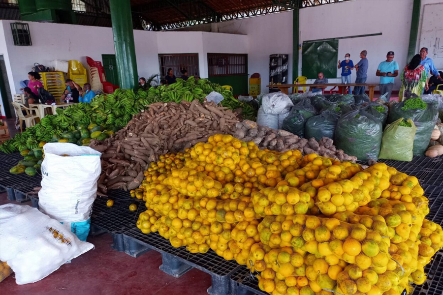 Prazo final para inscrição no Programa de Aquisição de Alimentos em Rondônia vai até 18 de março - News Rondônia