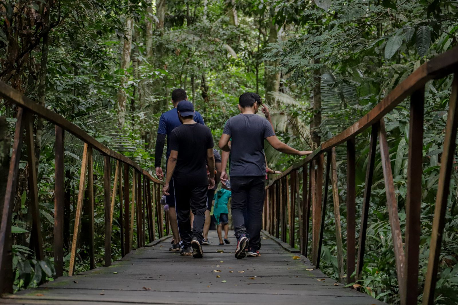 Rota Ecológica promove walking tour no Parque Natural de Porto Velho - News Rondônia