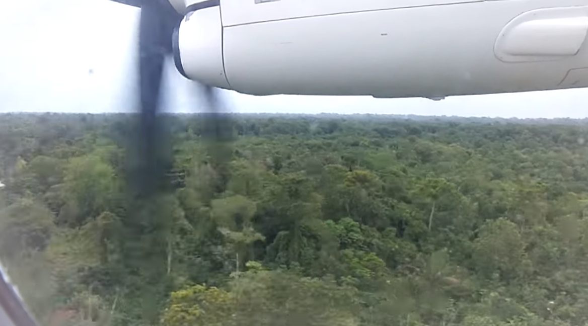 Tomada por pistas clandestinas, Amazônia foi entregue aos criminosos; controle será um processo de recuperação pós-guerra - News Rondônia