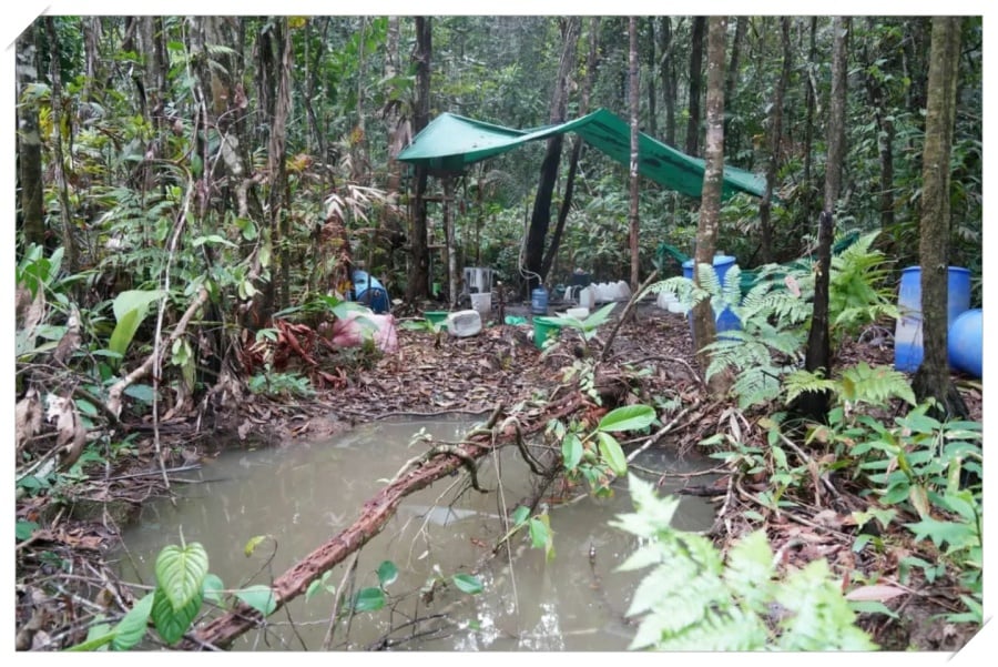 Operação na Bolívia destrói sete laboratórios usados na fabricação de cocaína - News Rondônia