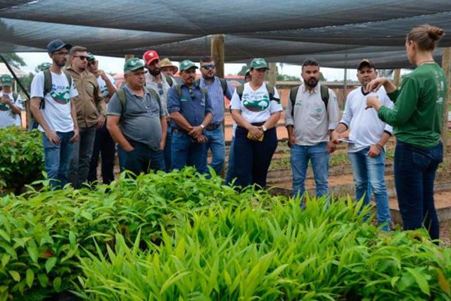 Capacitação executada pela Emater intensifica ações para elaboração de Plano de Regulamentação de Áreas Degradadas - News Rondônia