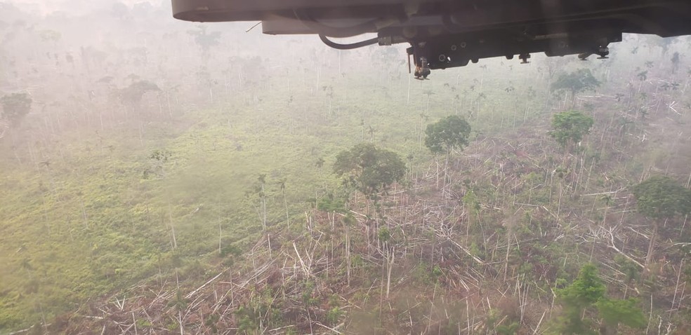 Ativistas da Kanindé discutem desmatamento e mudança climática na Embaixada da França no Brasil - News Rondônia