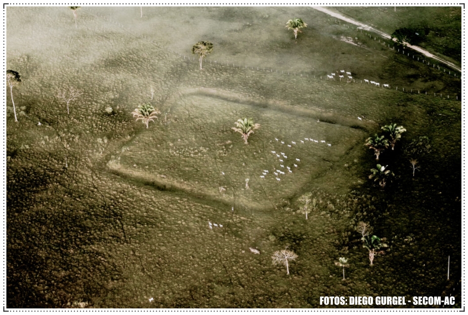 Geoglifos: novas figuras são encontradas no Acre - News Rondônia